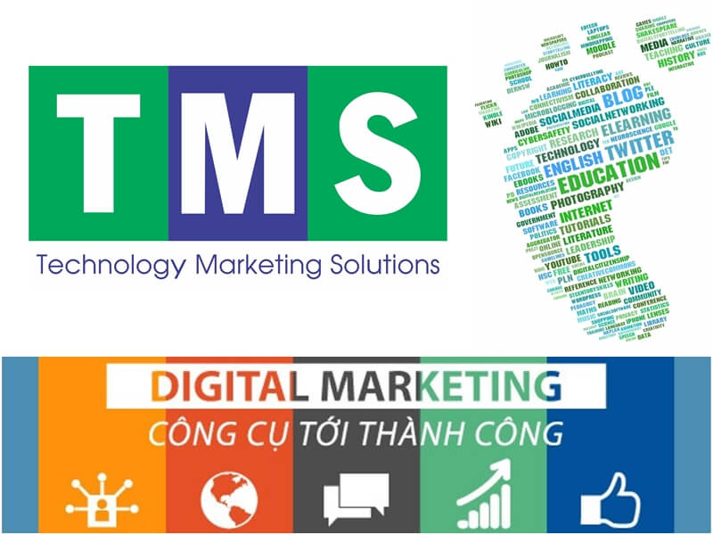 TMS- Công ty thiết kế Website và tư vấn giải pháp Marketing