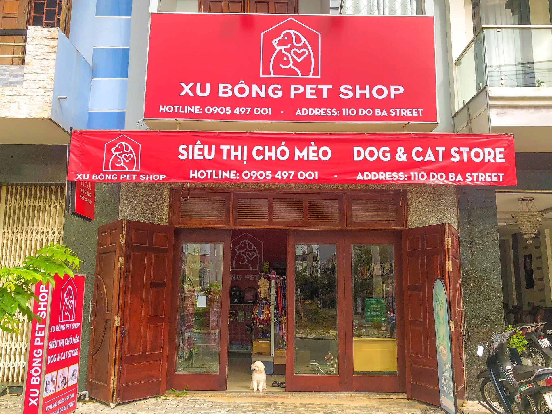 Xu Bông Pet Shop chuyên bán chó Phốc tại Đà Nẵng