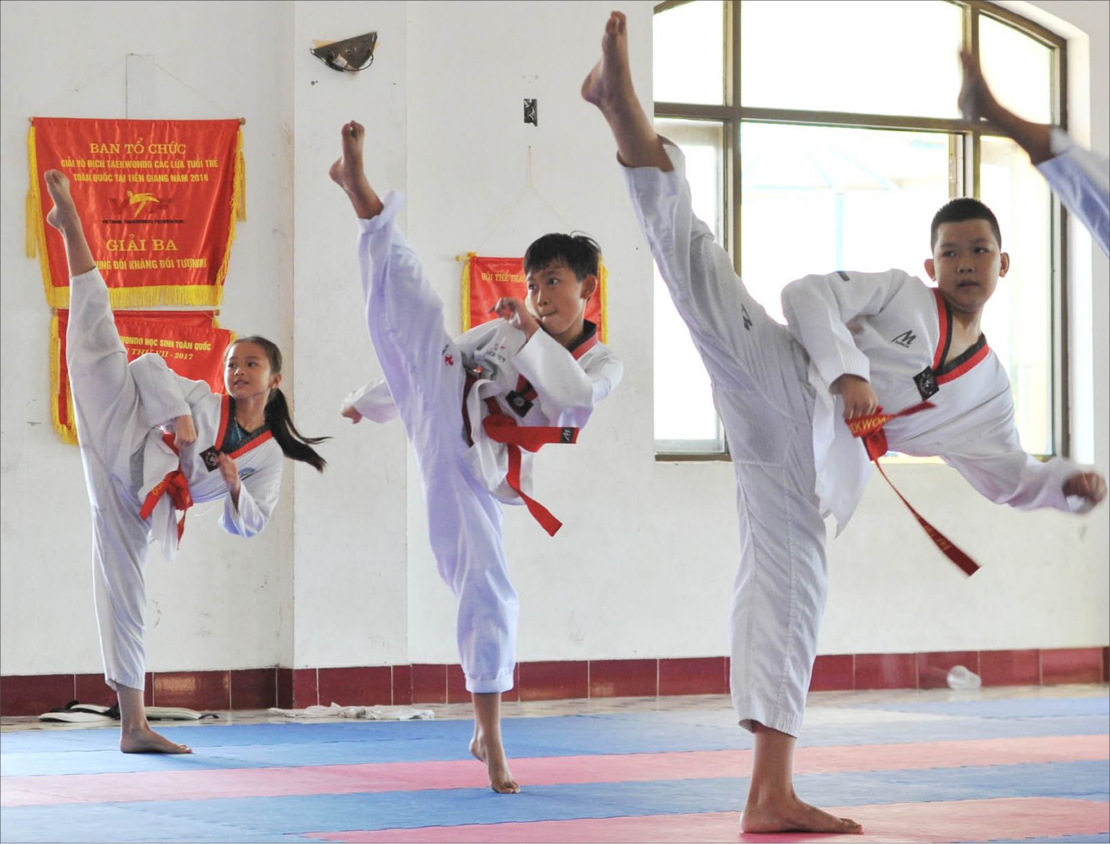 Học võ taekwondo ở Đà Nẵng có cần thiết không?