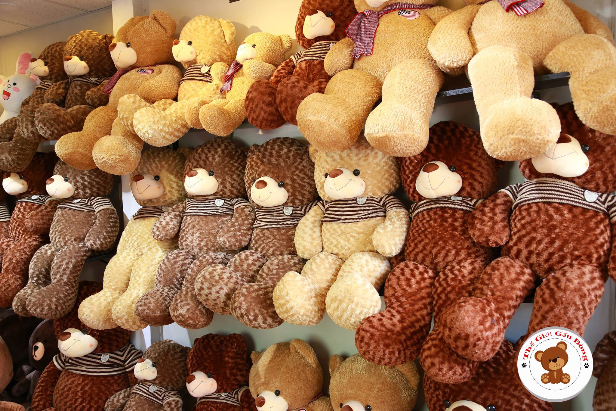 Shop gấu ở bông Đà Nẵng - Thế Giới Gấu Bông
