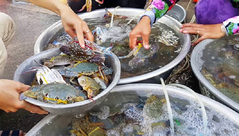 Vựa hải sản Đà Nẵng chợ Hàn
