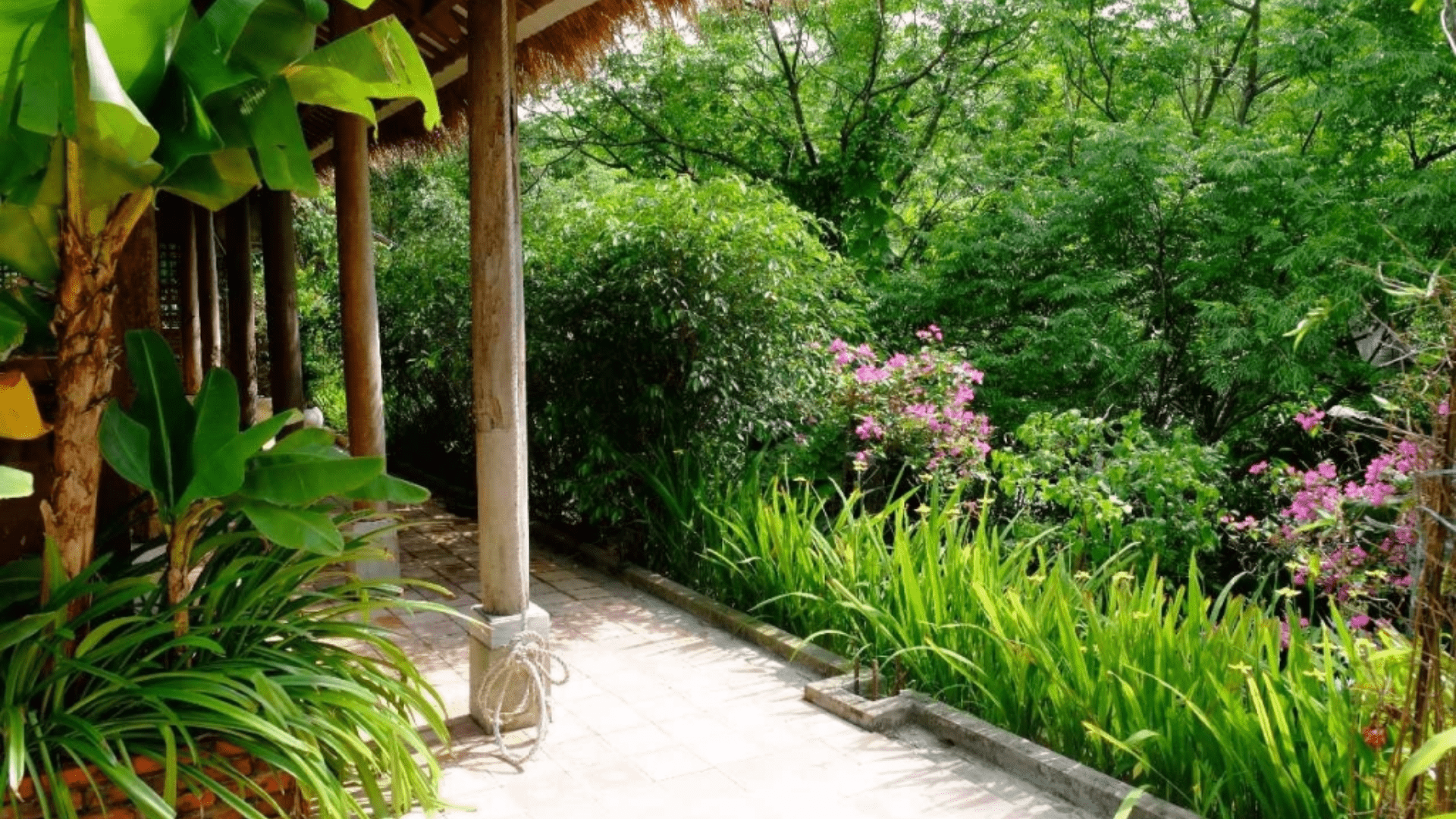 Làng vườn Bách Thuận - Địa điểm tham quan lôi cuốn