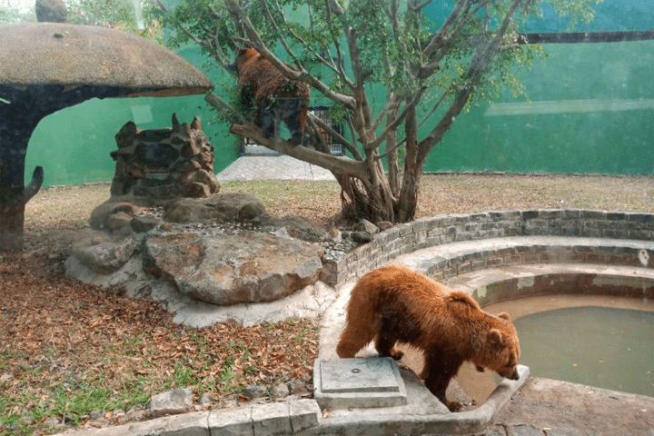 Các con vật tại khu du lịch sinh thái vườn Xoài