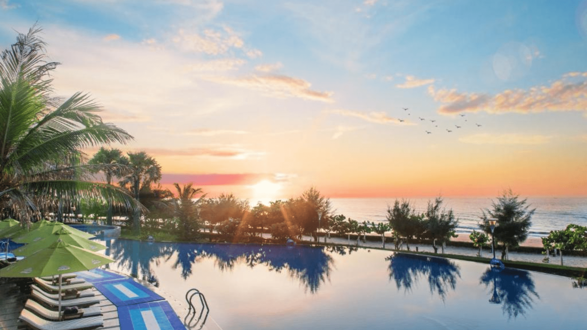 Four Points by Sheraton - Resort & khách sạn 5 sao Đà Nẵng