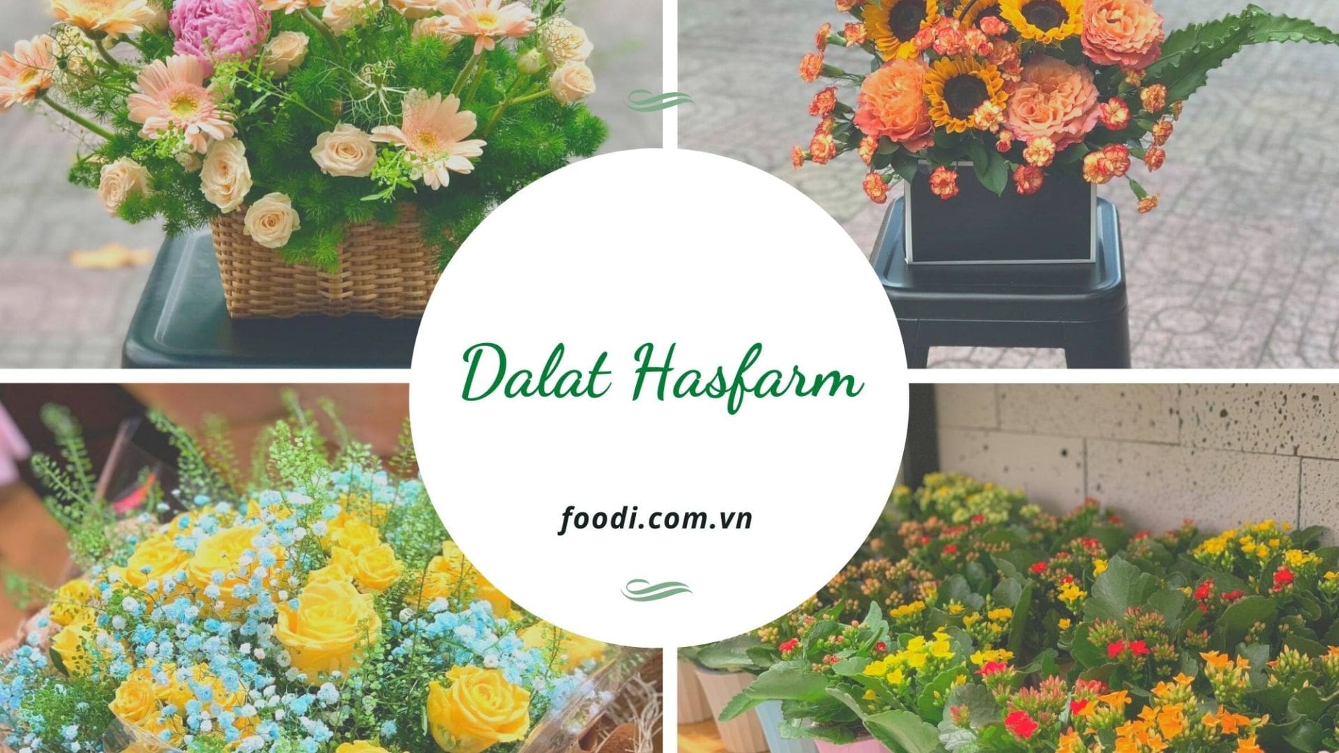 Dalat Hasfarm Flower Shop – shop hoa tươi gần đây tại Đà Nẵng chất lượng