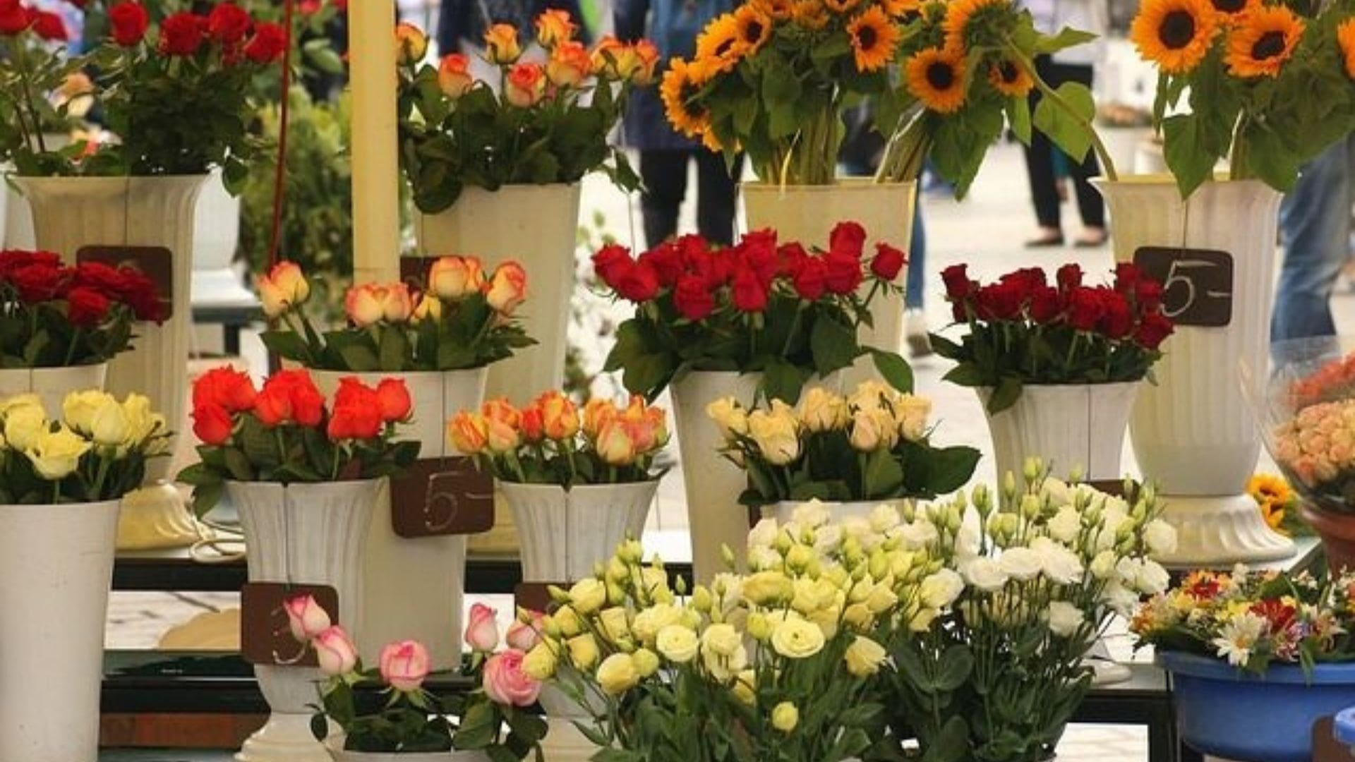 Hoa tươi T&T - shop hoa tươi gần đây tại Đà Nẵng giá rẻ