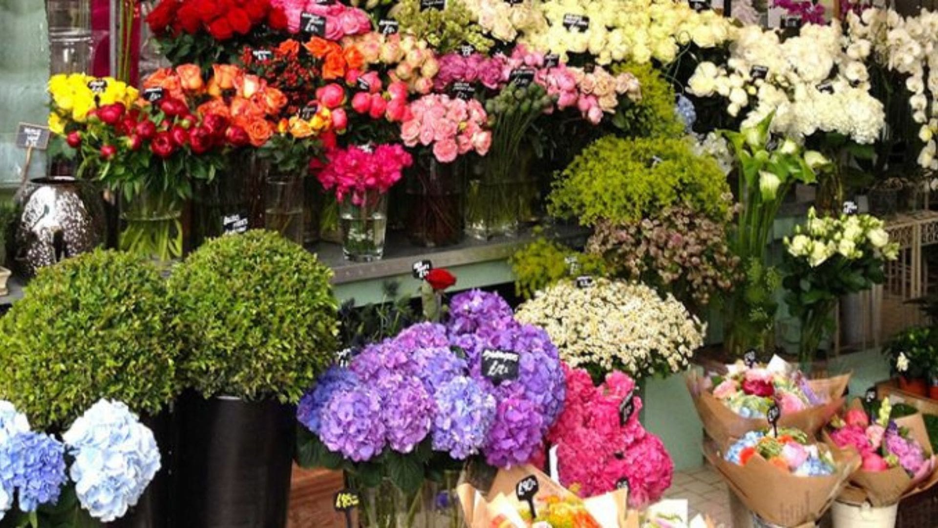 Hoa Tươi Đà Nẵng – shop hoa tươi gần đây tại Đà Nẵng