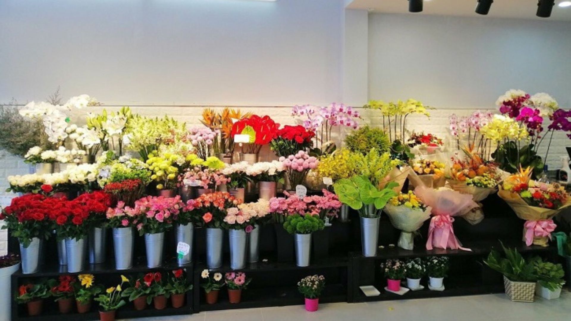 28+ Shop hoa tươi gần đây tại Đà Nẵng đẹp, chất lượng