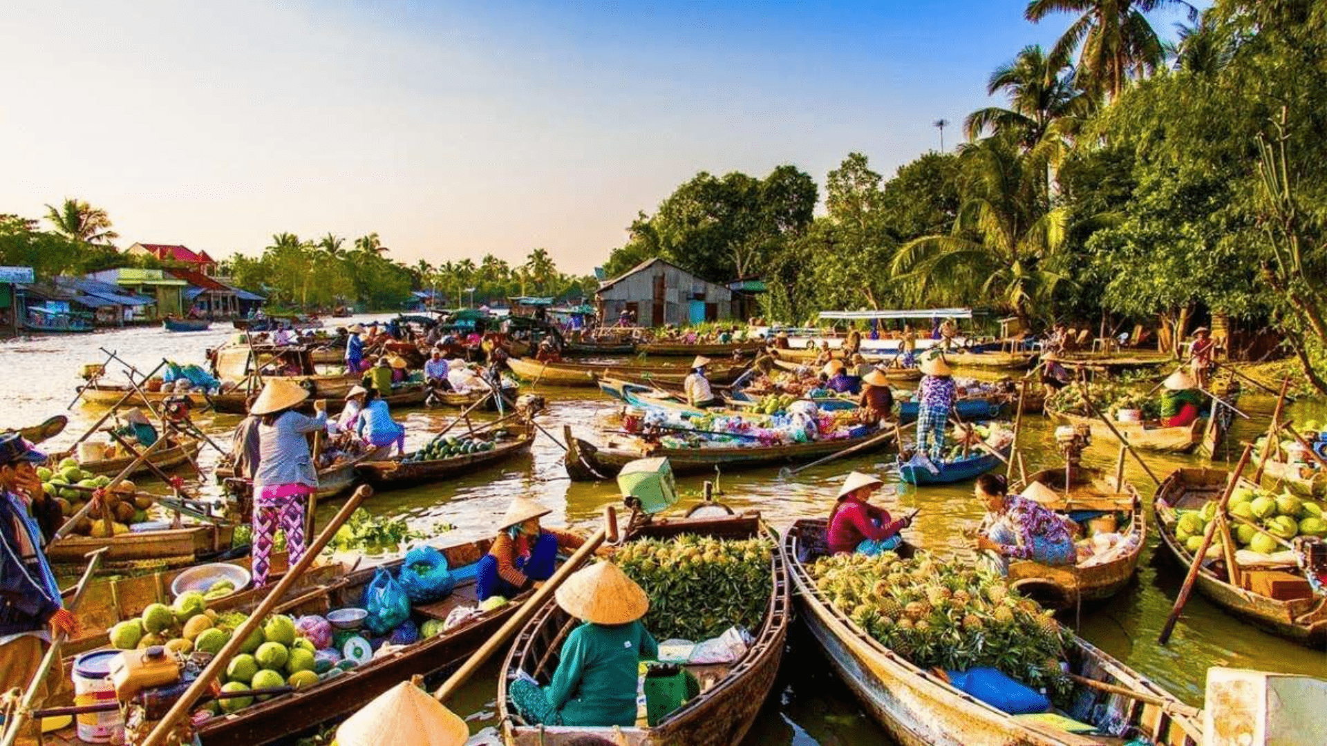 Chợ nổi Cà Mau – Khám phá thú vị trên vùng sông nước