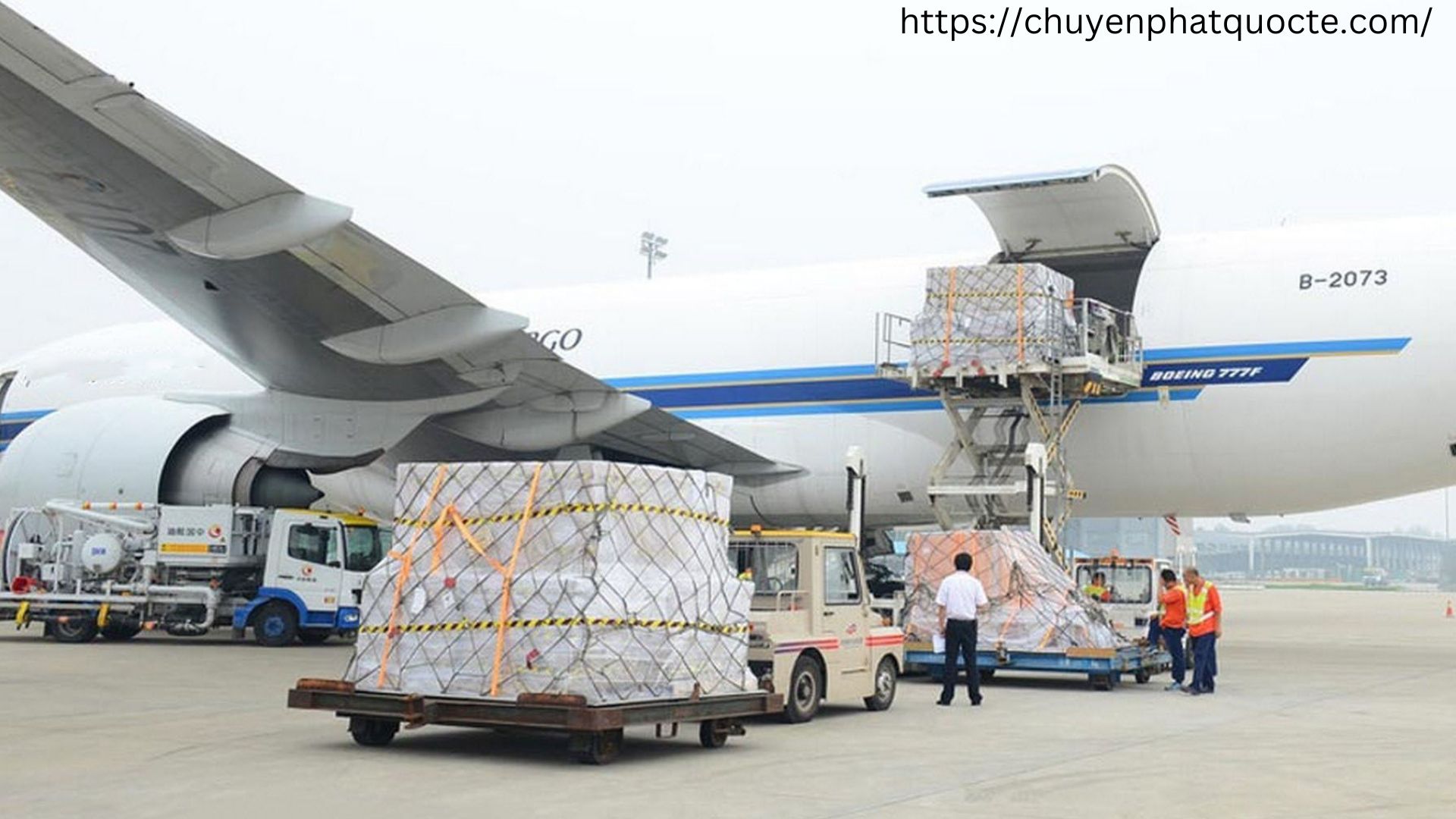 Công ty TNHH xuất nhập khẩu tổng hợp Tài Lộc - Dịch vụ ship hàng đi Mỹ tại Hà Nội