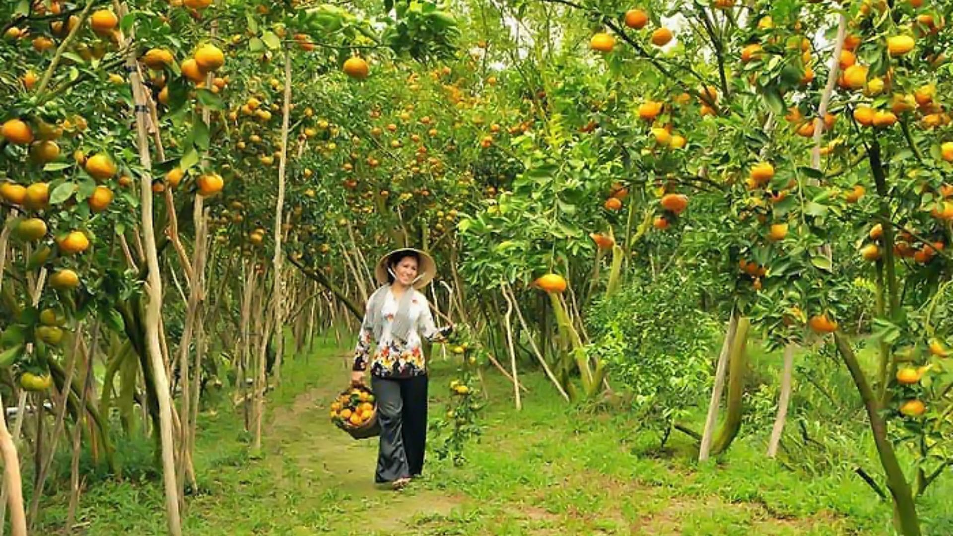 Khu Du Lịch Sinh Thái Vườn Ba Ngói - Phong cảnh hữu tình