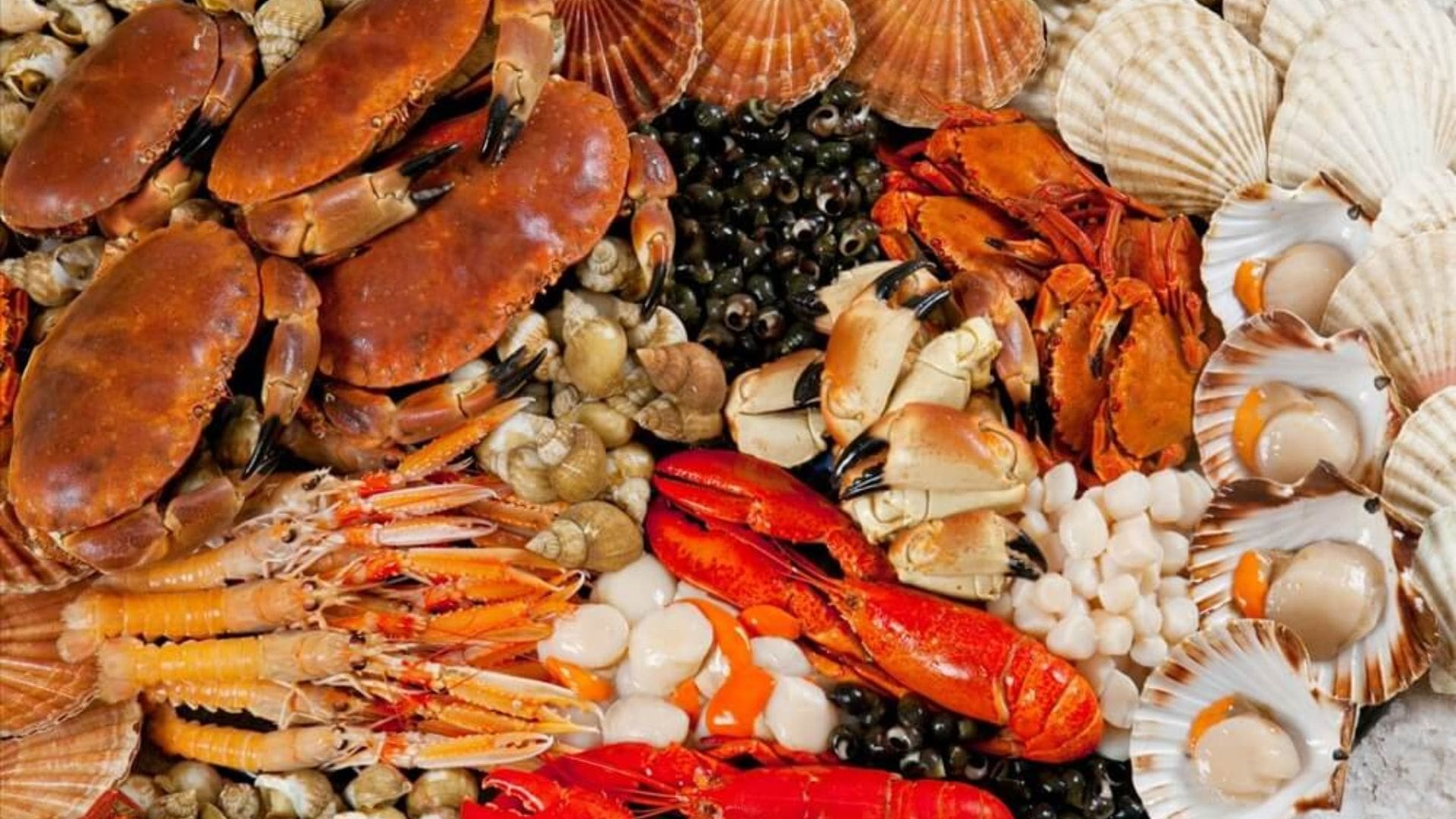 Hải sản Năm Đảnh - Nhà hàng hải sản Đà Nẵng chất lượng và uy tín 