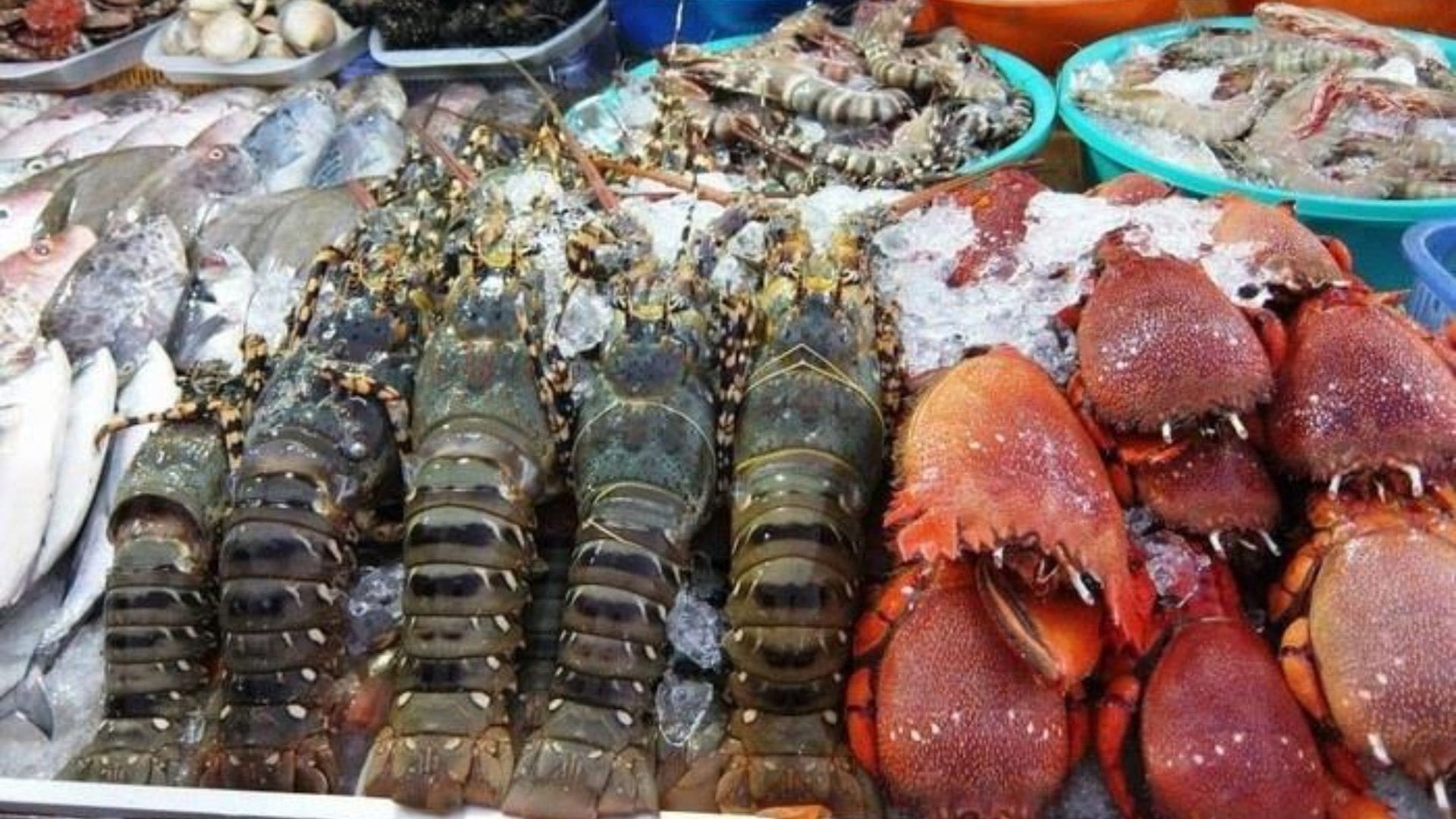 Tôm Cua Cá - Nhà hàng hải sản Đà Nẵng độc đáo 