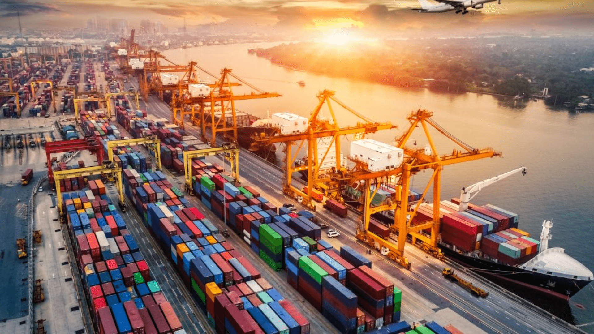Đại Dương Container - Công ty Logistics uy tín tại Đà Nẵng