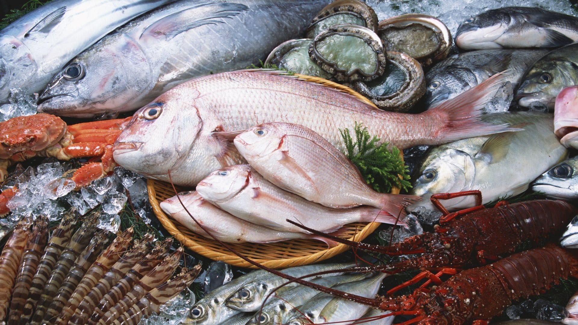 Hải sản Thời Cổ - Nhà hàng hải sản Đà Nẵng chất lượng 