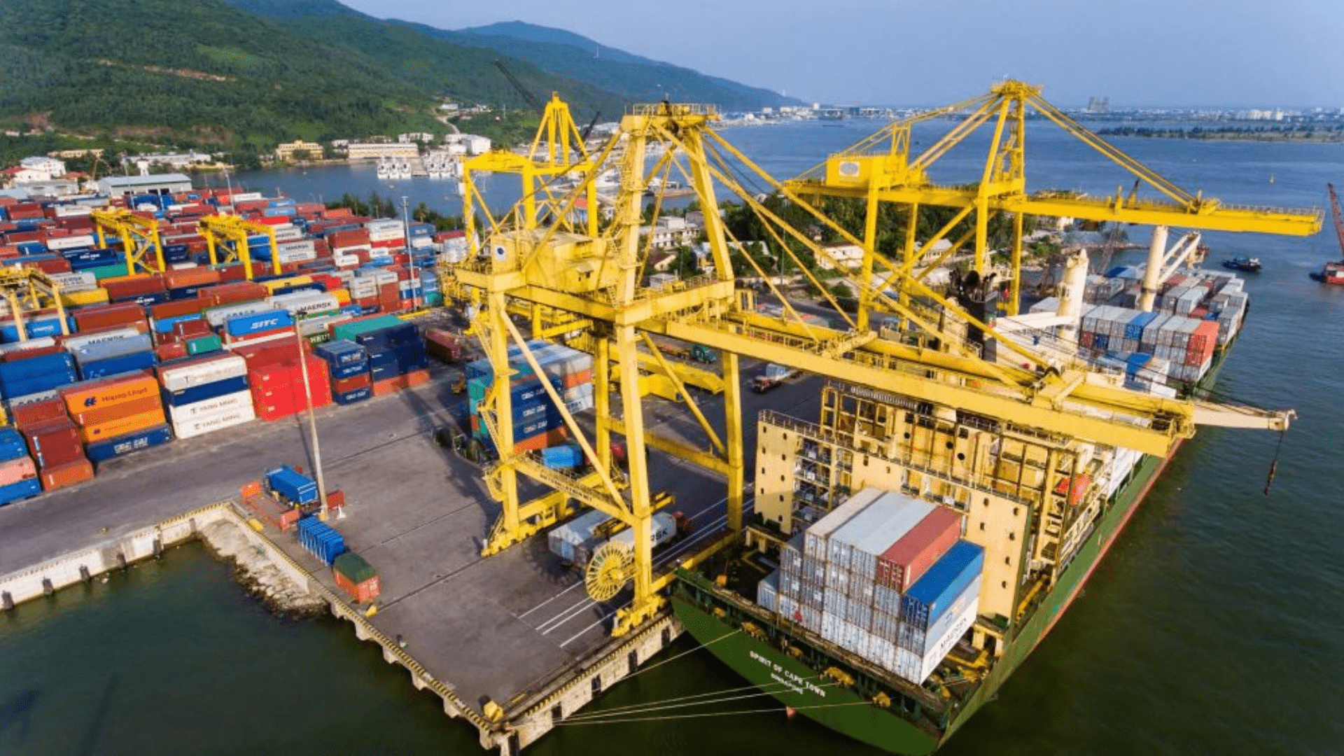 Công ty Portserco - Công ty Logistics Đà Nẵng quy mô lớn
