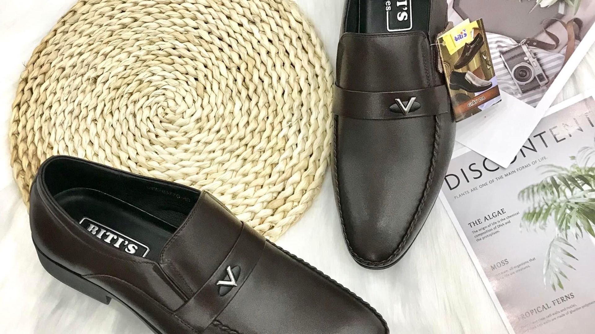 Giày DOLLAR - ĐÀ NẴNG, Cửa hàng trực tuyến | Shopee Việt Nam